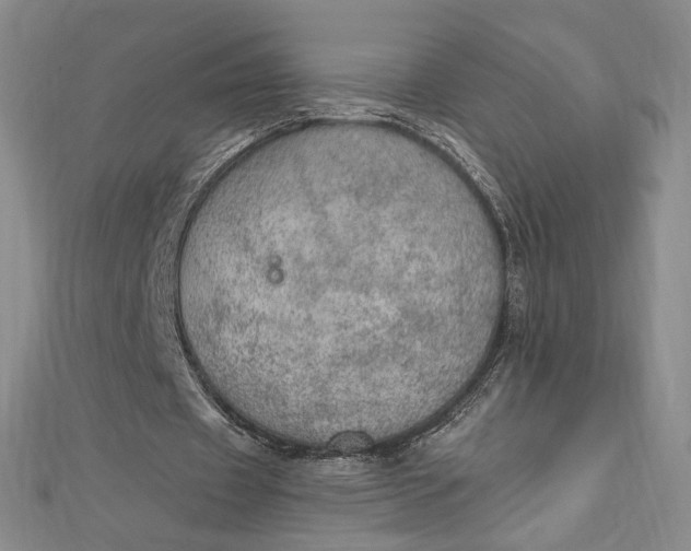 X0000112780433200909031631