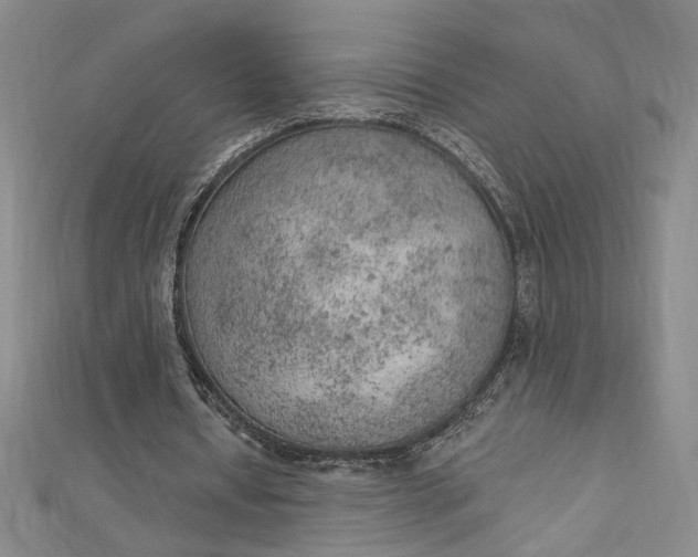 X0000112780434200909031632