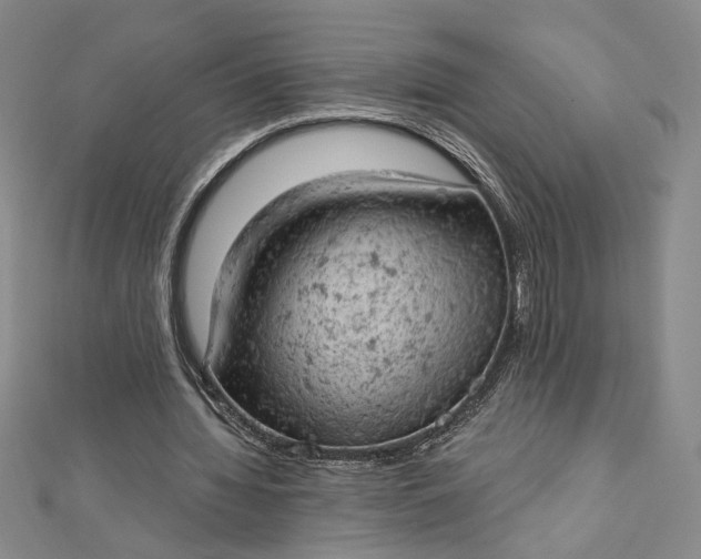 X0000112780436200909031632