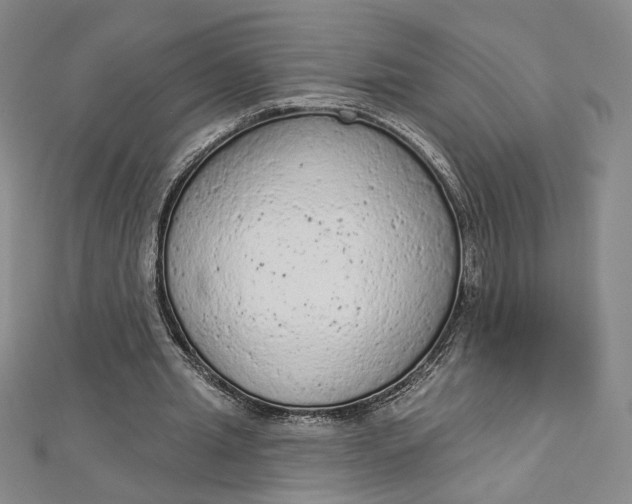 X0000112780437200909031632