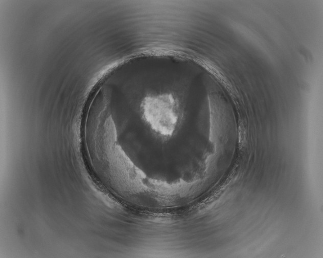 X0000112780438200909031632