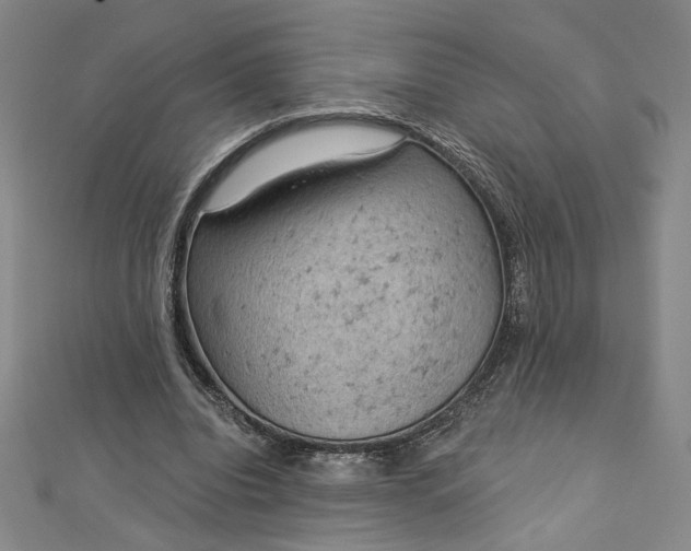 X0000112780440200909031632