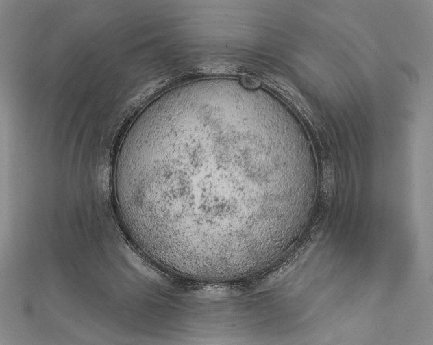 X0000112780441200909031632