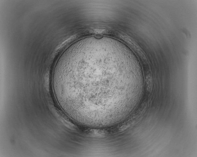 X0000112780442200909031632