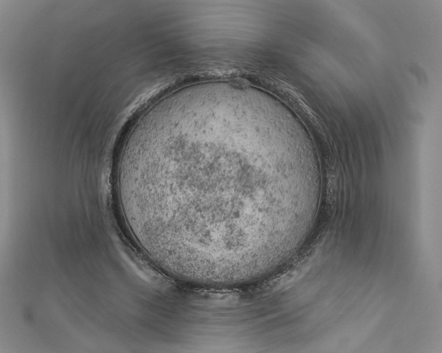 X0000112780443200909031632