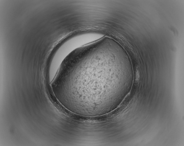 X0000112780444200909031632