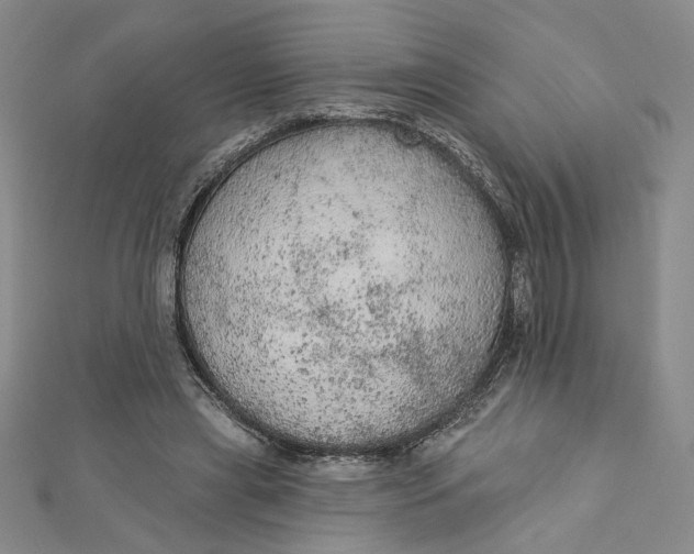 X0000112780445200909031632