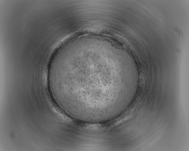 X0000112780446200909031632