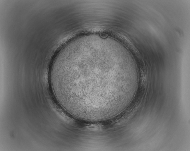 X0000112780447200909031632