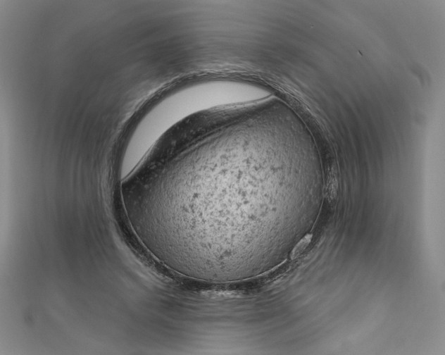 X0000112780448200909031632