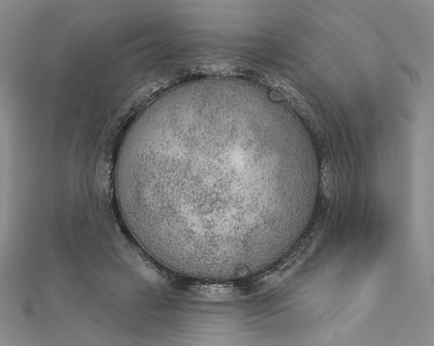 X0000112780449200909031632