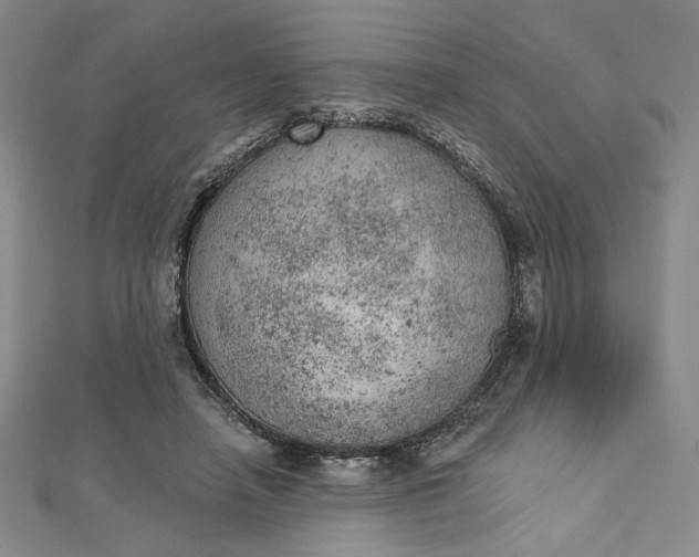 X0000112780450200909031632