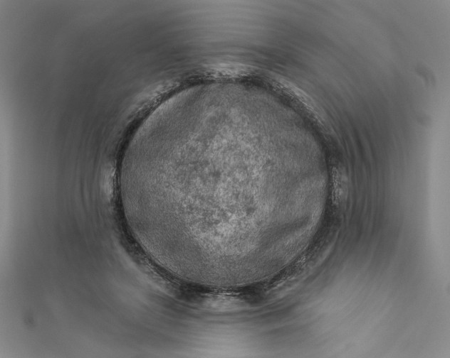 X0000112780451200909031632