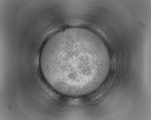 X0000112780454200909031632