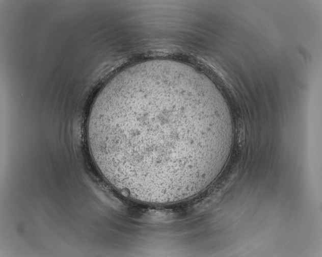 X0000112780455200909031632