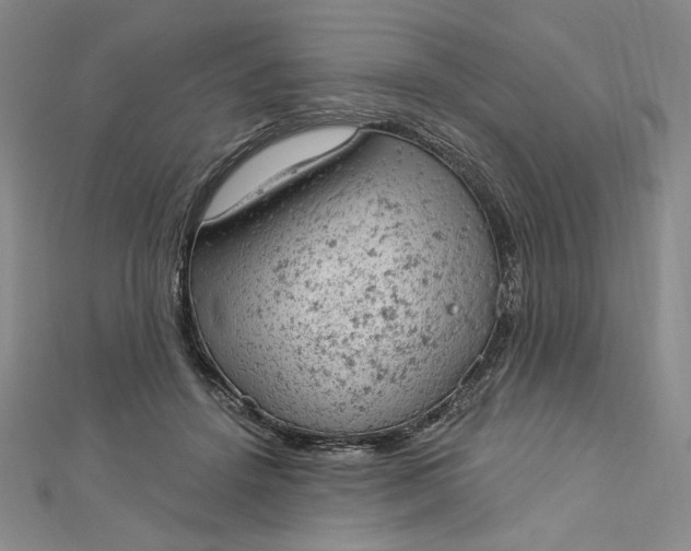 X0000112780456200909031632