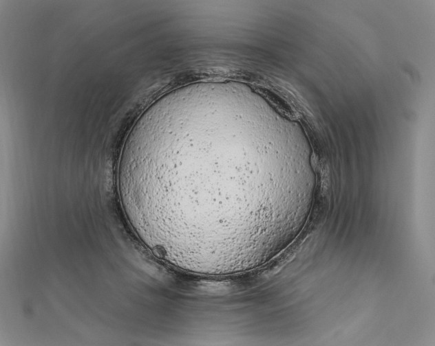 X0000112780457200909031632