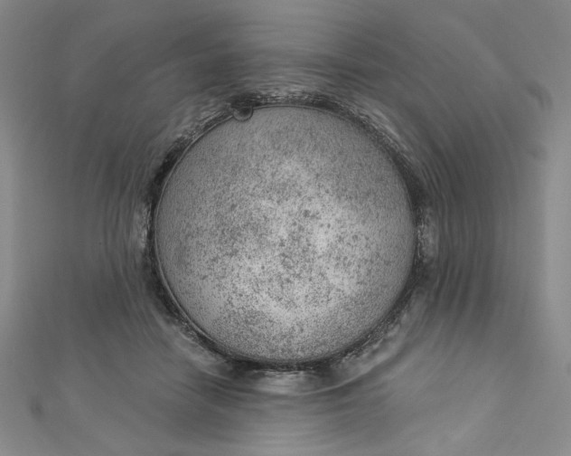 X0000112780458200909031632