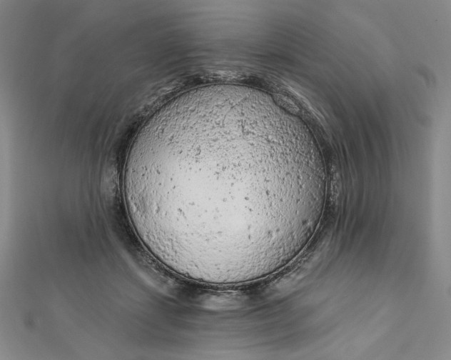 X0000112780459200909031632