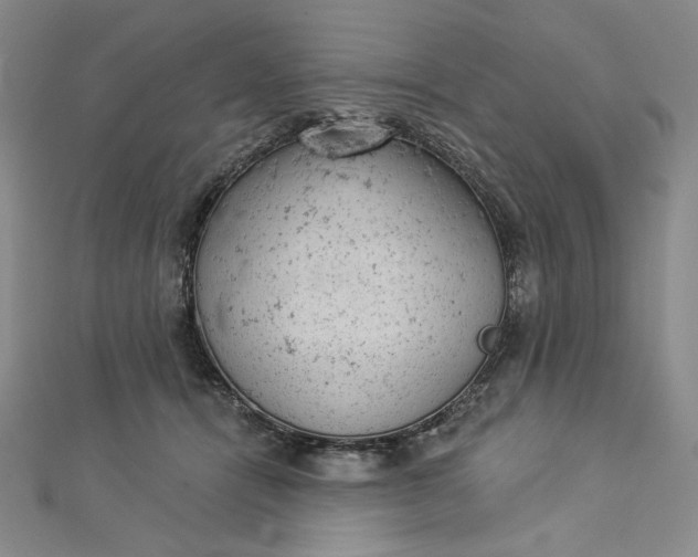 X0000112780464200909031632