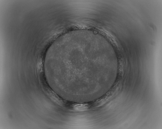 X0000112780465200909031632