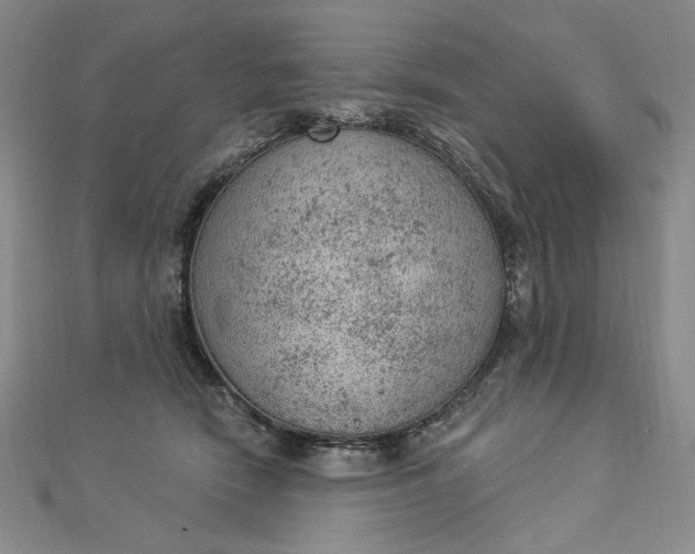 X0000112780466200909031632