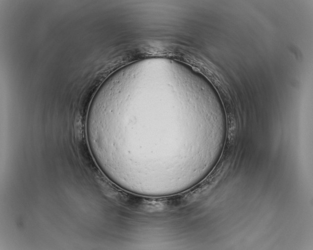 X0000112780469200909031632