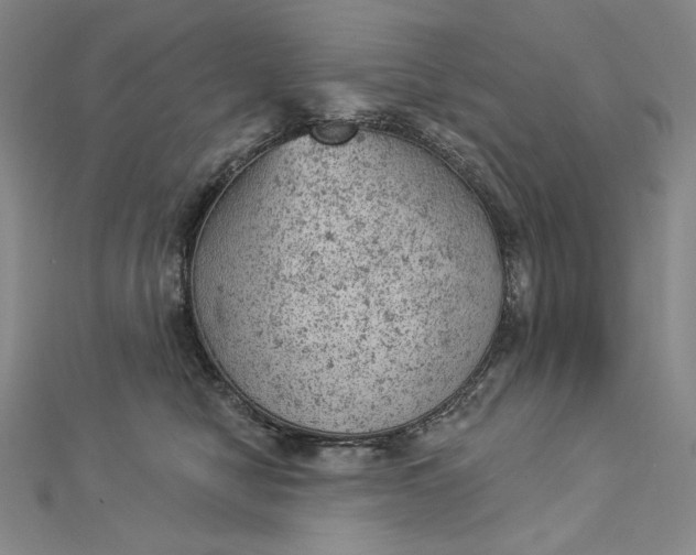 X0000112780470200909031632