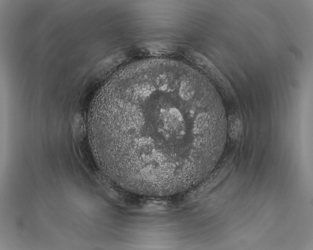 X0000112780471200909031632