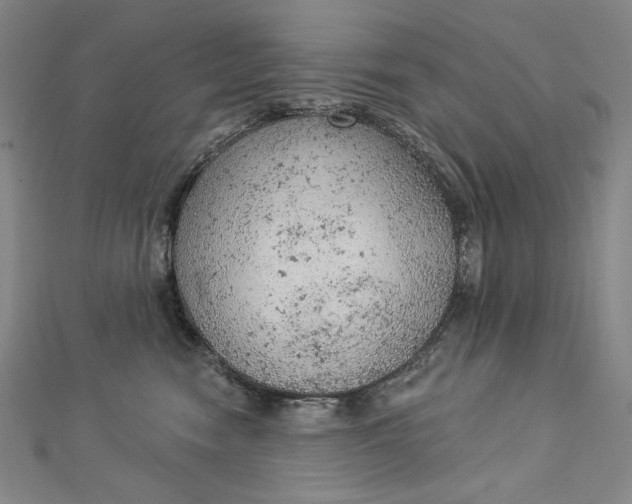 X0000112780474200909031632