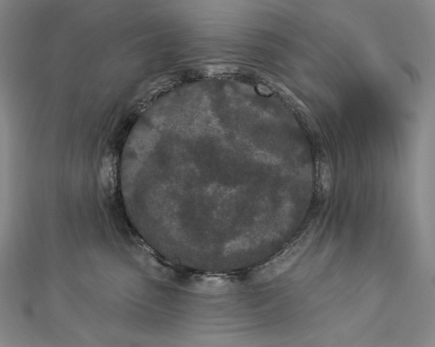 X0000112780475200909031632