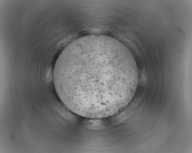 X0000112780478200909031632