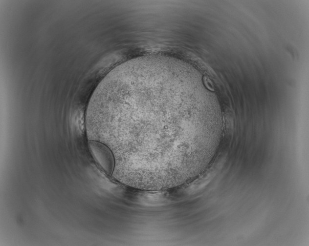 X0000112780479200909031632