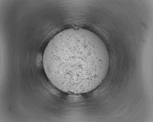 X0000112780480200909031632