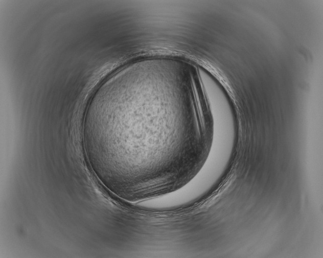 X0000112780481200909031631