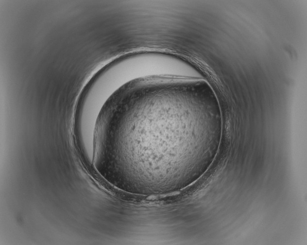 X0000112780484200909031631