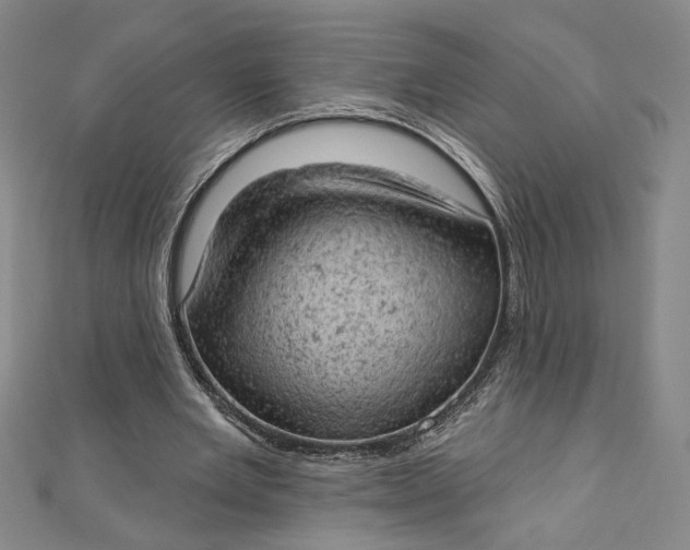 X0000112780485200909031631