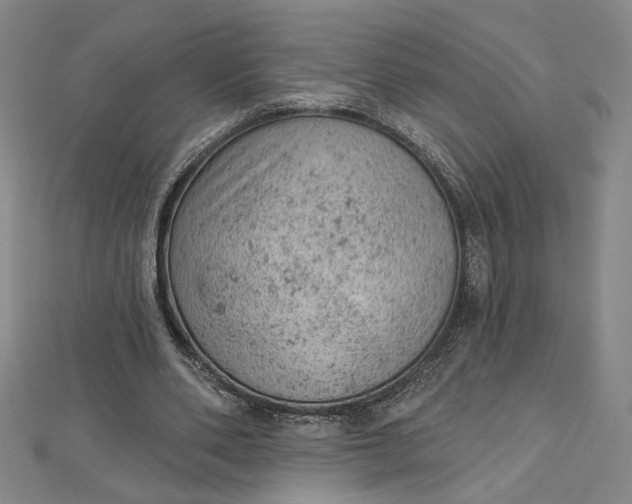 X0000112780486200909031631