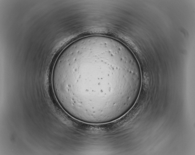 X0000112780487200909031631