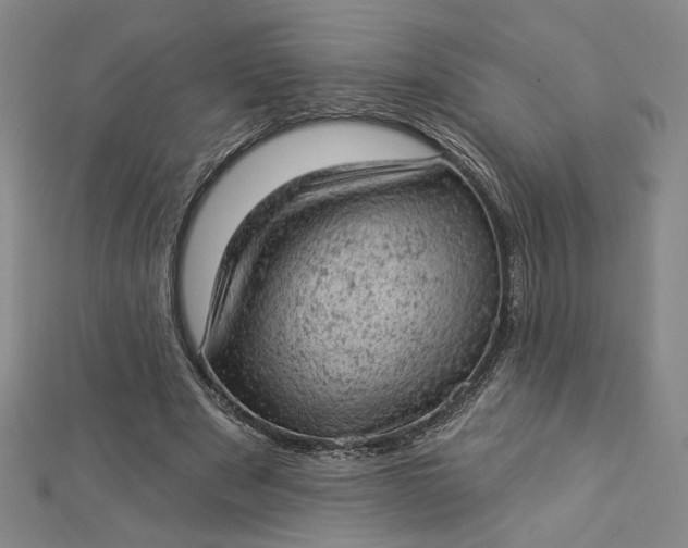 X0000112780489200909031631