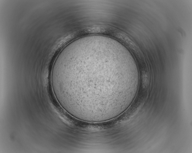 X0000112780490200909031631