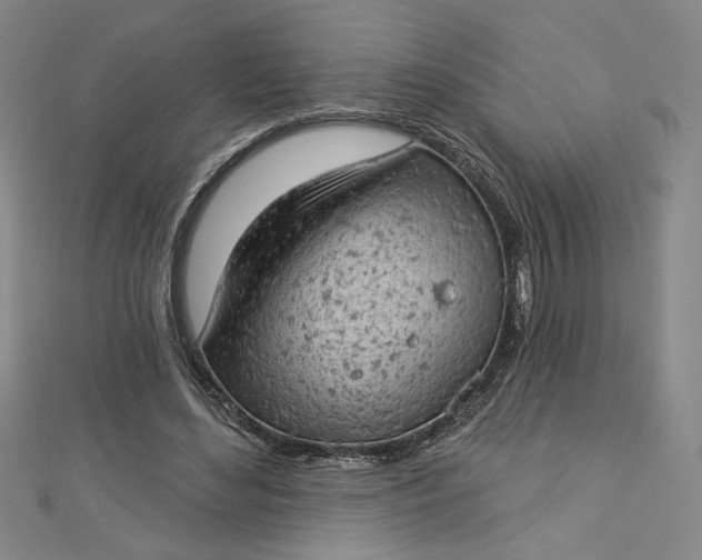 X0000112780492200909031631