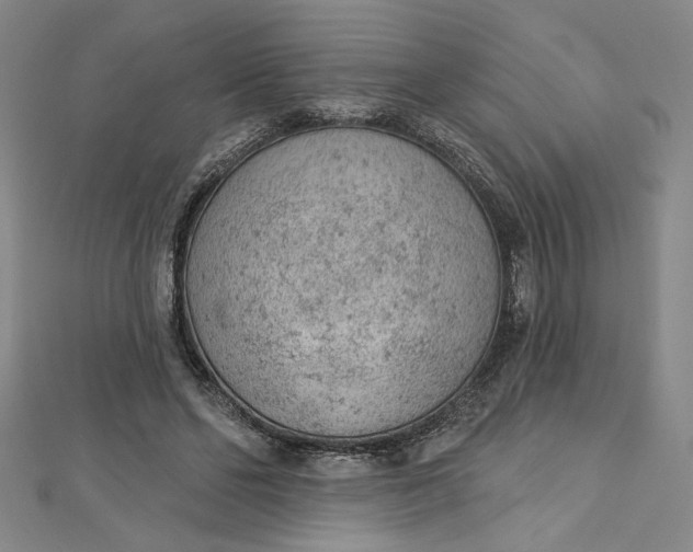 X0000112780494200909031631