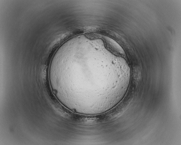 X0000112780495200909031631