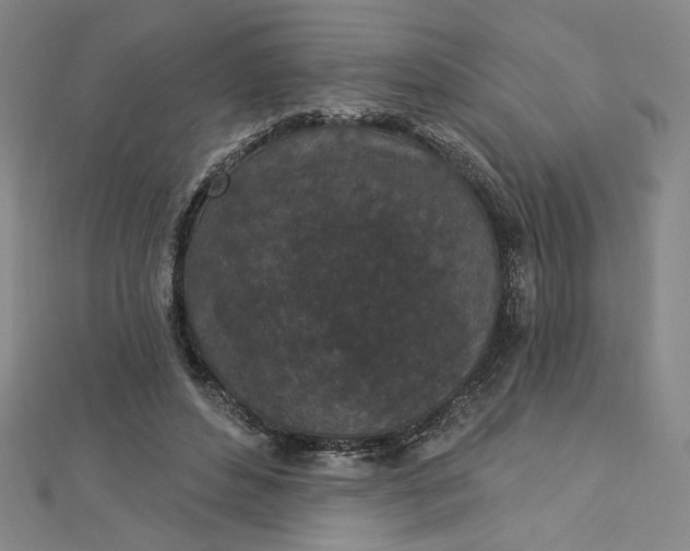 X0000112780496200909031631