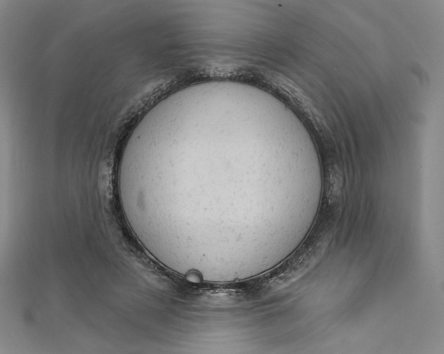 X0000112780497200909031631