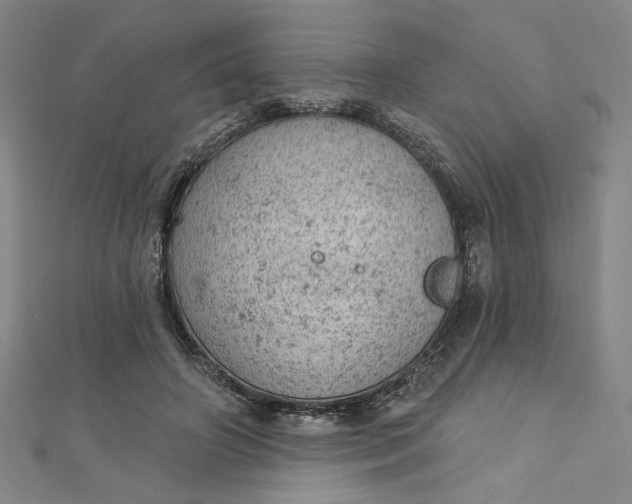 X0000112780498200909031631