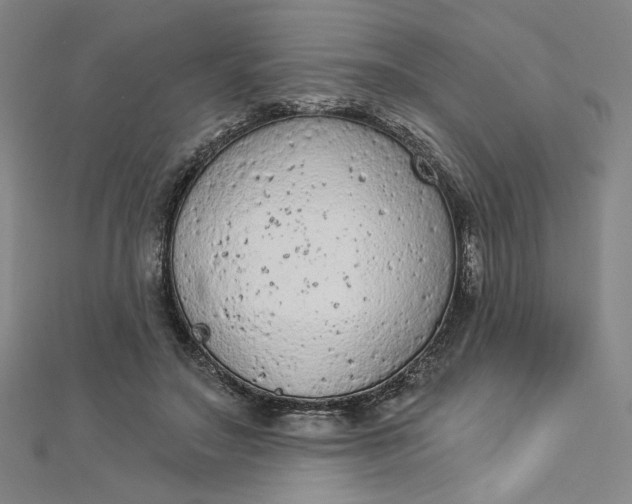 X0000112780499200909031631