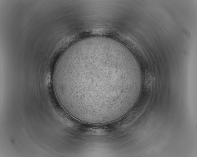 X0000112780502200909031631