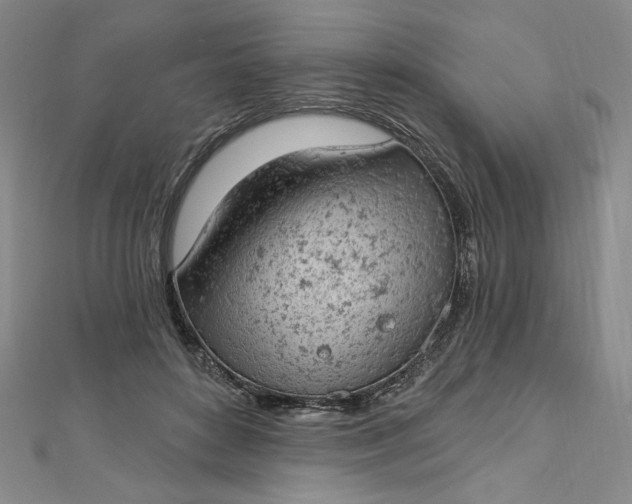 X0000112780504200909031631